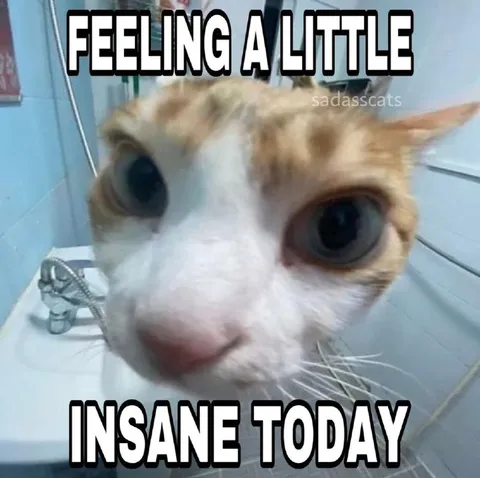 Feeling a Little Insane Today