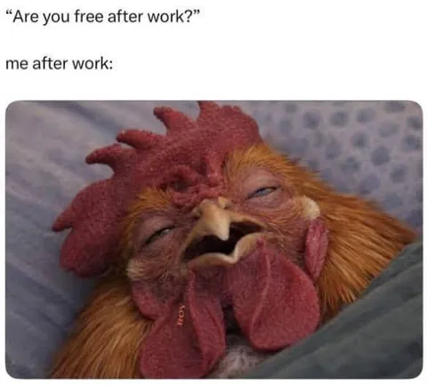 Me After Work Chicken