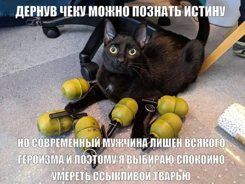 Дерниву чеку можно познать истину