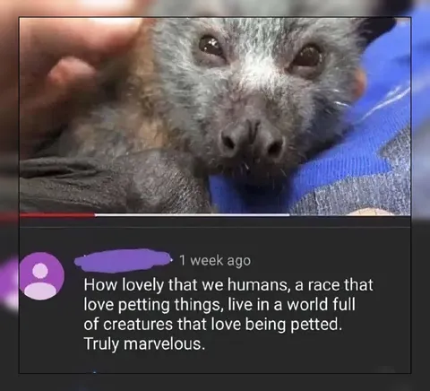 Humans Love Petting Creatures