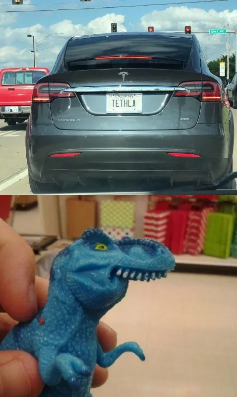 Tesla T-Rex License Plate