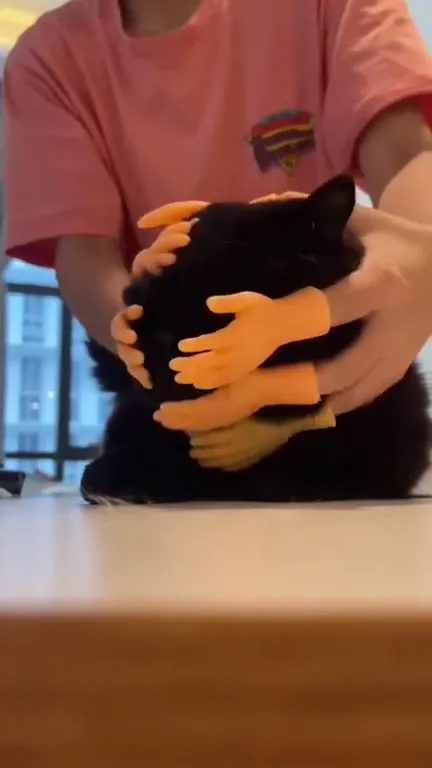Кот в ловушке множества рук
