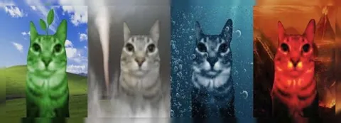 Котики четырёх стихий