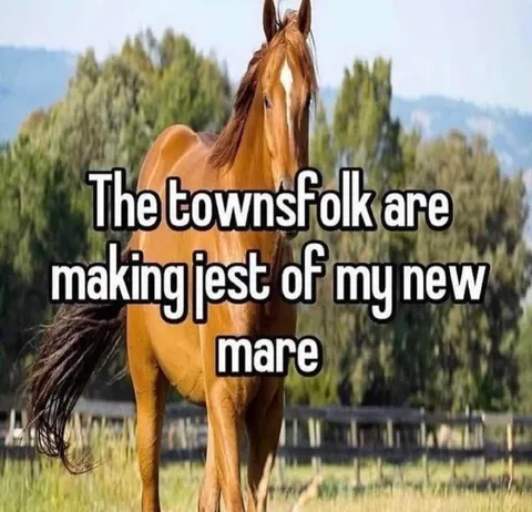 Townsfolk Mocking My New Mare
