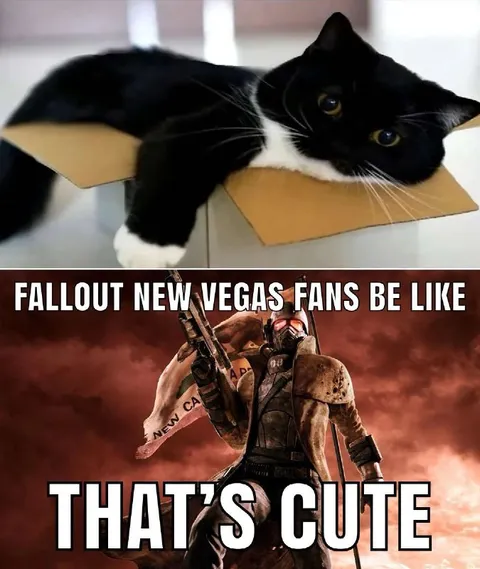 Fallout New Vegas Fans Be Like