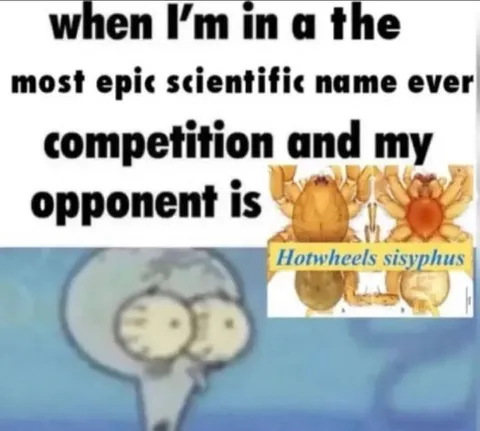 Scientific Name Competition