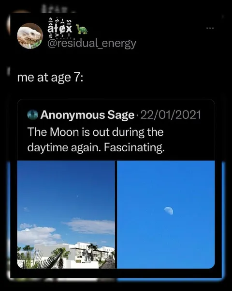 Moon Out During Daytime