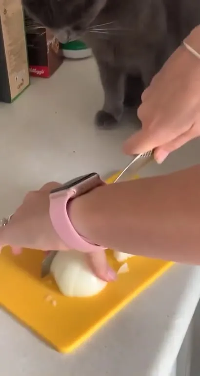 Cat Squints at Chopped Onions
