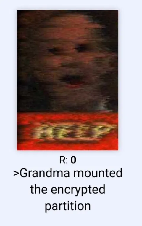 Grandma Mounted the Encrypted Partition
