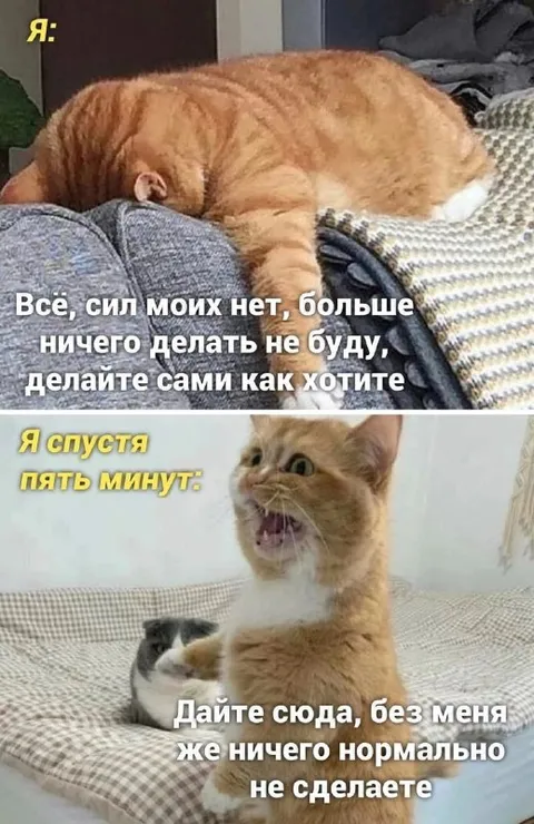 Сдался, но ненадолго
