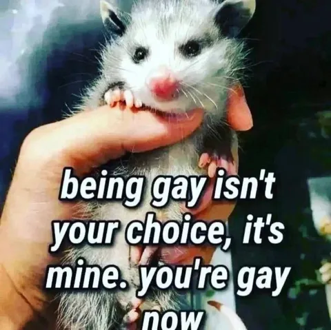 You're Gay Now