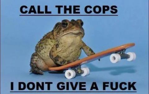 Call the Cops Frog