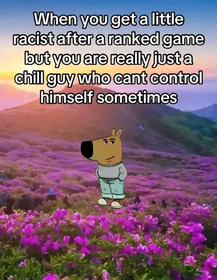 Chill Guy Loses Control