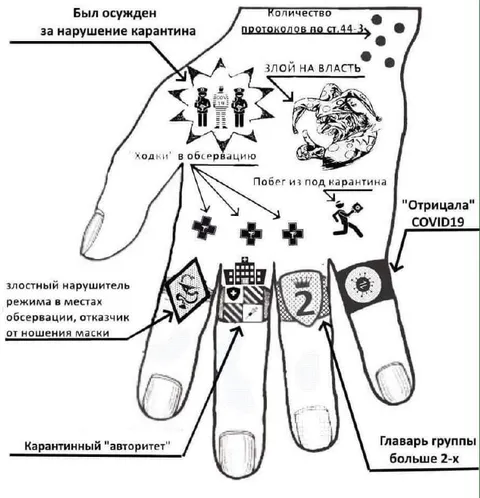 Пальцы нарушителей карантина