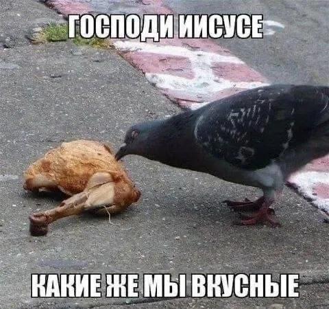 Господи Иисусе, какие же мы вкусные