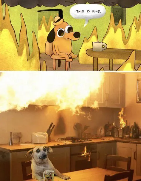 This Is Fine in the Kitchen