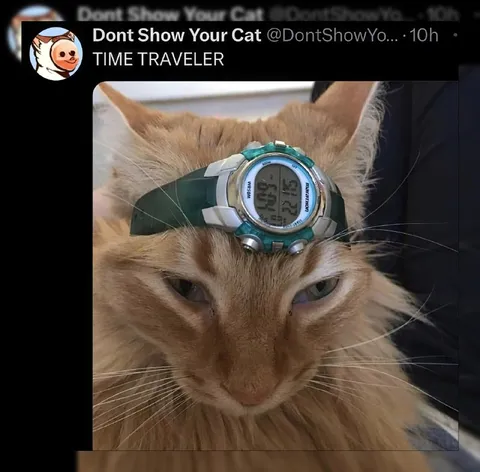 Time Traveler Cat