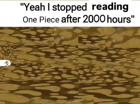 Stopped Reading One Piece