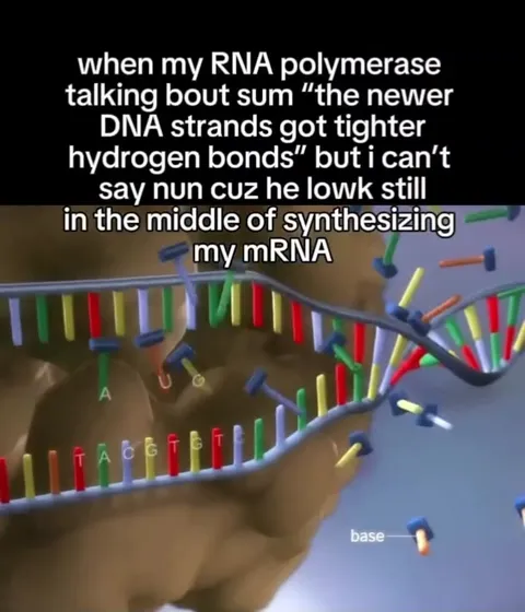 RNA Polymerase Won’t Stop Synthesizing