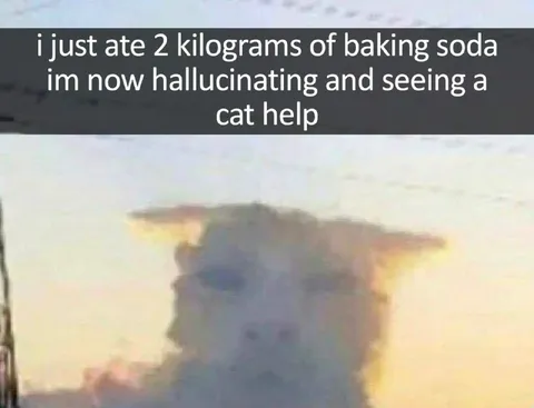 Ate Two Kilograms of Baking Soda