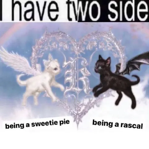 I Have Two Sides
