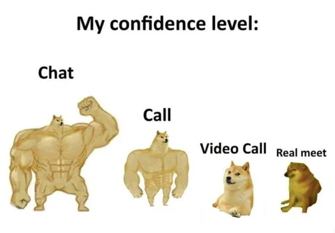 Confidence Drops from Chat to Reality