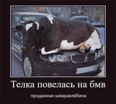 Телка повелась на БМВ