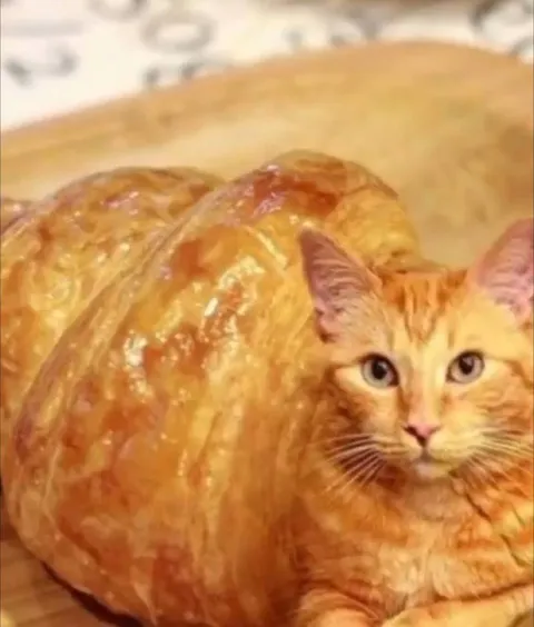 Кот-батон