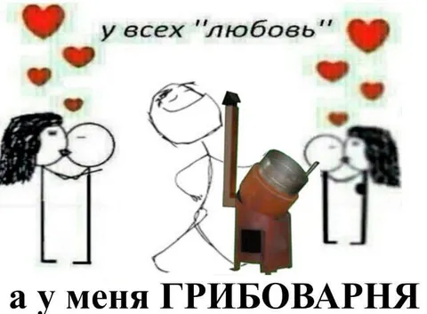 У всех любовь, а у меня грибоварня