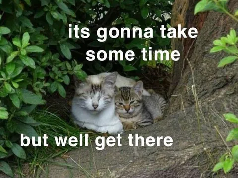 Cats Will Get There Eventually