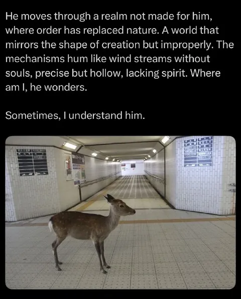 Deer Lost in the Subway