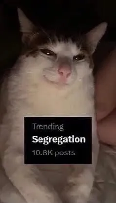 Cat Reacts to Segregation Trending