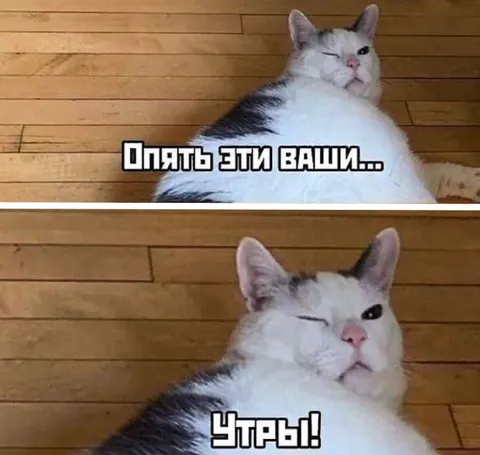Опять эти ваши утробы