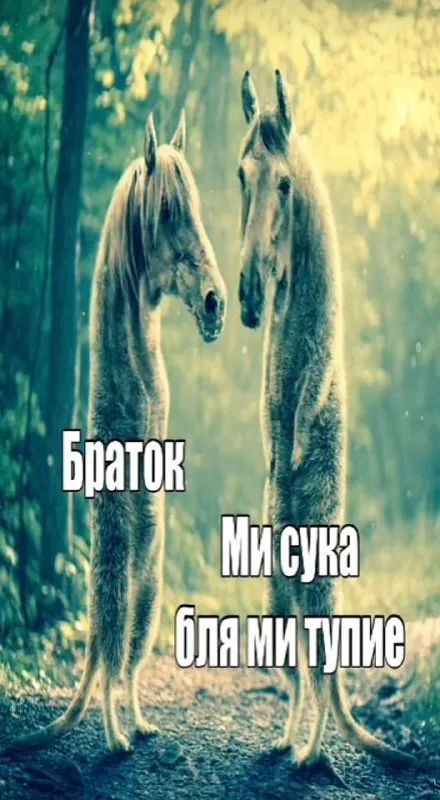 Два тупых братка