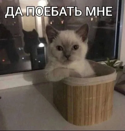Да поебать мне