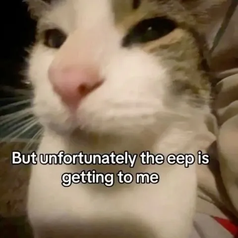 Cat Overwhelmed by Eep