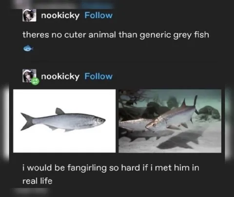 Generic Grey Fish Fangirling