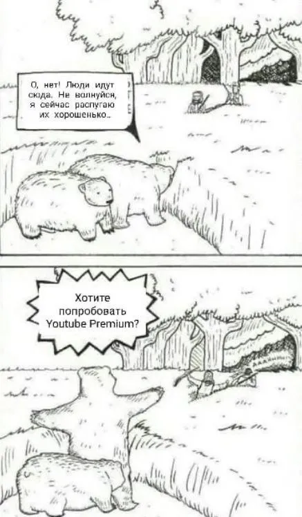 Медведь предлагает YouTube Premium