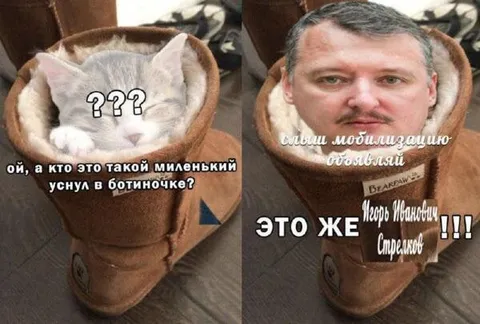 Котёнок в ботиночке — это Стрелков