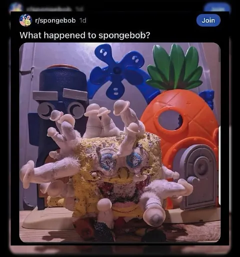 What Happened to SpongeBob?