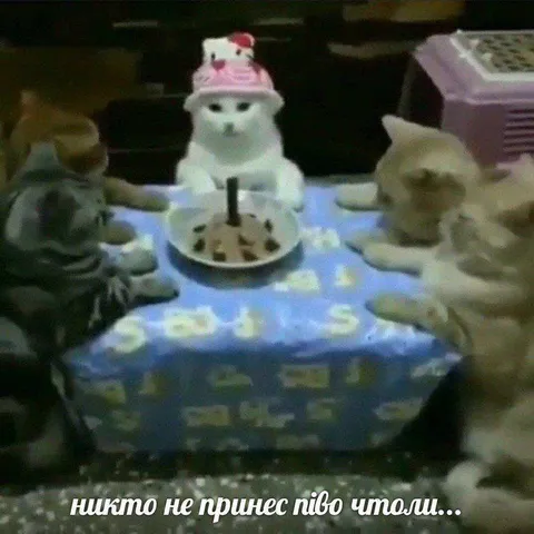 Никто не принес піво чтоли