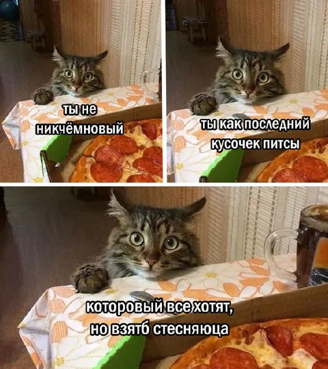 Кот и последний кусочек пиццы