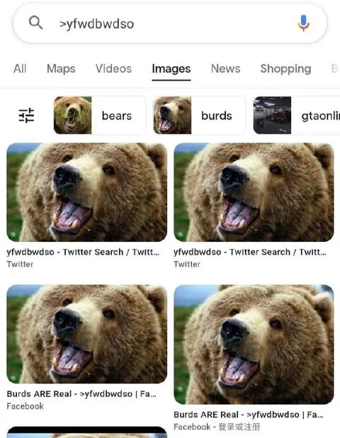 Google Search for Burds