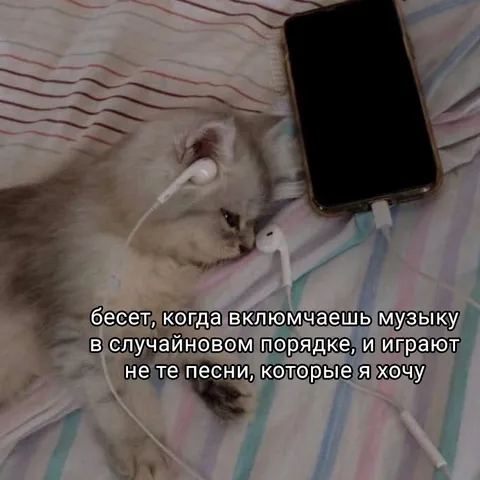 Бесит случайный порядок музыки