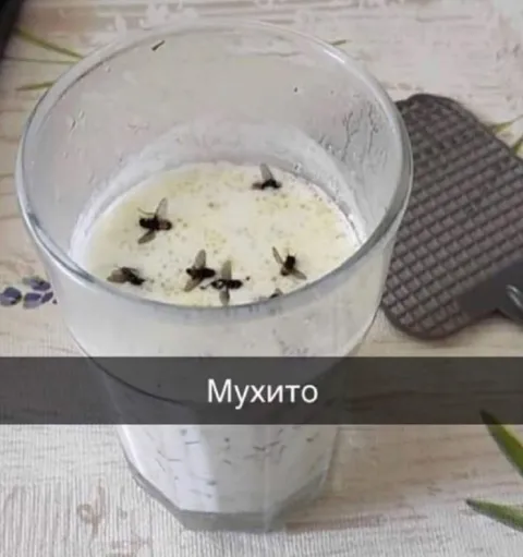 Мухито с мухами