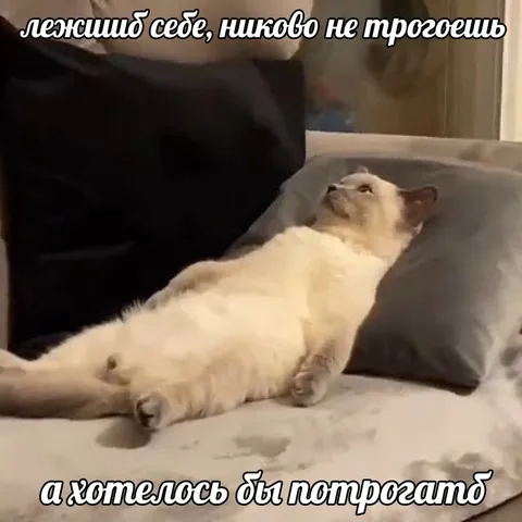 Лежишь себе, никого не трогаешь