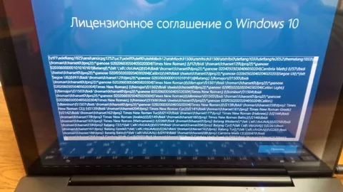 Лицензионное соглашение Windows 10