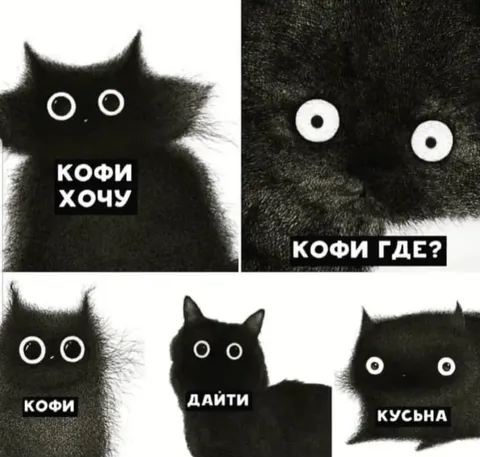 Коты требуют кофе