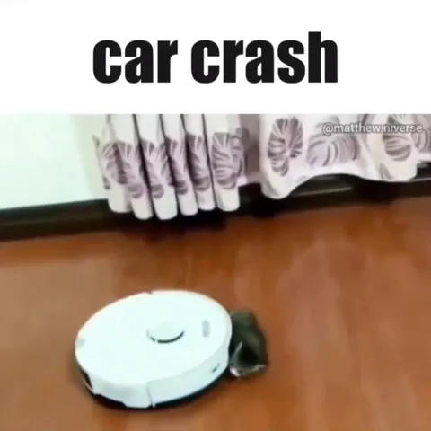 Car Crash Cat Versus Robot Vacuum