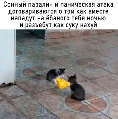 Сонный паралич и паническая атака